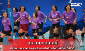 สมาคมวอลเลย์