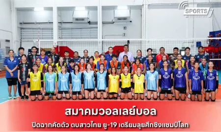 สมาคมวอลเลย์บอล